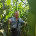 ���������� ����, ���� ������� ������, 59 ���, ������������ ��� ������, ����� � ���������, c�������� ���������