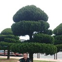  Pusan,   Evgenii, 41 ,   ,   , c 