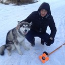  ,   Wying, 37 ,   ,   , c , 