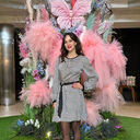 ���������� ������, ���� ������� �����, 37 ���, ������������ ��� ����� � ���������, c�������� ���������