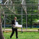  ,   , 39 ,   ,   , c 