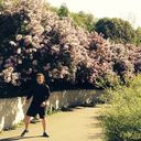 ���������� ����, ���� ������� ����, 36 ���, ������������ ��� ������, ����� � ���������, c�������� ���������