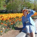  ,   , 51 ,   ,   