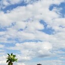 ���������� ������, ���� ������� Pavel, 45 ���, ������������ ��� ������, ����� � ���������