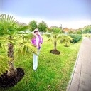  ,   , 52 ,   c 