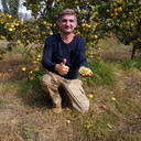 ���������� ������, ���� ������� Hayrapet, 50 ���, ������������ ��� ������, ����� � ���������, c�������� ���������