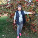 ���������� ������, ���� ������� �������, 65 ���, ������������ ��� c�������� ���������