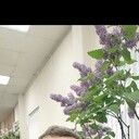 ���������� �����-���������, ���� ������� ���������, 60 ���, ������������ ��� c�������� ���������