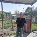  --,   , 52 ,   c 