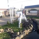 ���������� ���������, ���� ������� ���� ������, 65 ���, ������������ ��� ����� � ���������, c�������� ���������