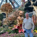 ���������� ������, ���� ������� Harry, 63 ����, ������������ ��� ������, ����� � ���������