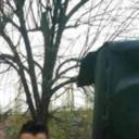  ,   Branko, 40 ,   ,   , c 