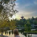 ���������� �����-���������, ���� ������� �����, 24 ����, ������������ ��� ������, ����� � ���������