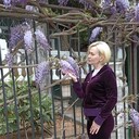  ,   , 54 ,     , 