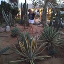 ���������� ������, ���� ������� ������, 60 ���, ������������ 