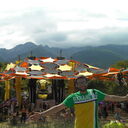 ���������� �����������, ���� ������� ���������, 39 ���, ������������ ��� ������, ����� � ���������, c�������� ���������