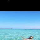 ���������� ���������, ���� ������� �����, 36 ���, ������������ ��� ������, ����� � ���������, ���������