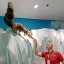 ���������� ������������, ���� ������� ����, 63 ����, ������������ ��� ������, ����� � ���������, c�������� ���������