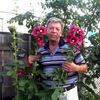  ,   , 65 ,     , c 