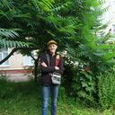 ���������� ������, ���� ����� ����, 25 ���, ������������ ��� ������, ����� � ���������, c�������� ���������, ���������