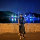 ���������� �����, ���� ������� �������, 42 ����, ������������ ��� ������, ����� � ���������, c�������� ���������, ���������