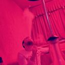 ���������� �����������, ���� ������� �����, 29 ���, ������������ ��� ������, ����� � ���������