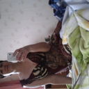  ,   , 64 ,     , c 