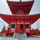 ���������� �����-���������, ���� ������� ������, 37 ���, ������������ ��� ����� � ���������, c�������� ���������