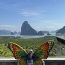 ���������� �������, ���� ������� ����������, 48 ���, ������������ ��� c�������� ���������