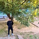  ,   , 32 ,   c 