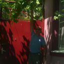 ���������� ���������, ���� ������� �������, 48 ���, ������������ ��� ������