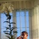 ���������� �����, ���� ������� ������, 38 ���, ������������ ��� ����� � ���������, c�������� ���������