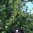 ���������� ������, ���� ������� ���������, 34 ����, ������������ ��� ������, ����� � ���������, c�������� ���������