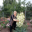  ,   , 73 ,   ,   