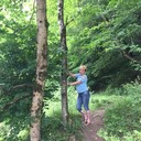  ,   , 52 ,   c 