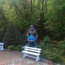 ���������� �����������, ���� ������� ������, 36 ���, ������������ ��� ������, ����� � ���������