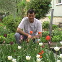 ���������� ������, ���� ������� ������, 55 ���, ������������ ��� ������, ����� � ���������, c�������� ���������