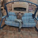 ���������� ������, ���� ������� ����������, 41 ���, ������������ ��� ������, ����� � ���������