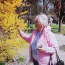 ���������� �������, ���� ������� ����, 69 ���, ������������ ��� c�������� ���������, ���������