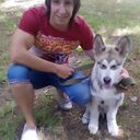 ���������� �������, ���� ������� ������, 36 ���, ������������ ��� ������, ����� � ���������