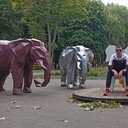 ���������� ����, ���� ����� �������, 24 ����, ������������ ��� ������, ����� � ���������