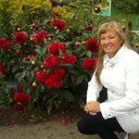  ,   , 53 ,     , c 