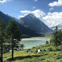 ���������� �����, ���� ������� Andrei, 42 ����, ������������ ��� ������, ����� � ���������, c�������� ���������