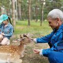  ,   , 51 ,   ,   , c 