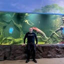 ���������� ������, ���� ������� ������, 36 ���, ������������ ��� ������, ����� � ���������, c�������� ���������, ���������