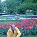 ���������� ������, ���� ������� ����, 44 ����, ������������ ��� ������, ����� � ���������, c�������� ���������