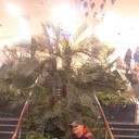 ���������� �����������, ���� ������� Ϩ��, 46 ���, ������������ ��� ����� � ���������, c�������� ���������