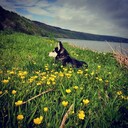 ���������� �������, ���� ������� ������, 27 ���, ������������ ��� ������, ����� � ���������, c�������� ���������, ���������