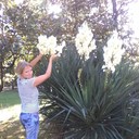 ���������� ������, ���� ������� ���, 41 ���, ������������ 