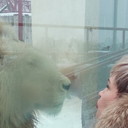 ���������� �����, ���� ������� ������, 57 ���, ������������ ��� ����� � ���������, c�������� ���������